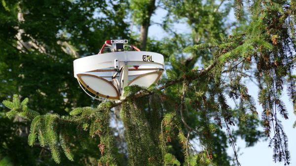 这不是不明飞行物——这架无人机正在从树梢上采集动物DNA